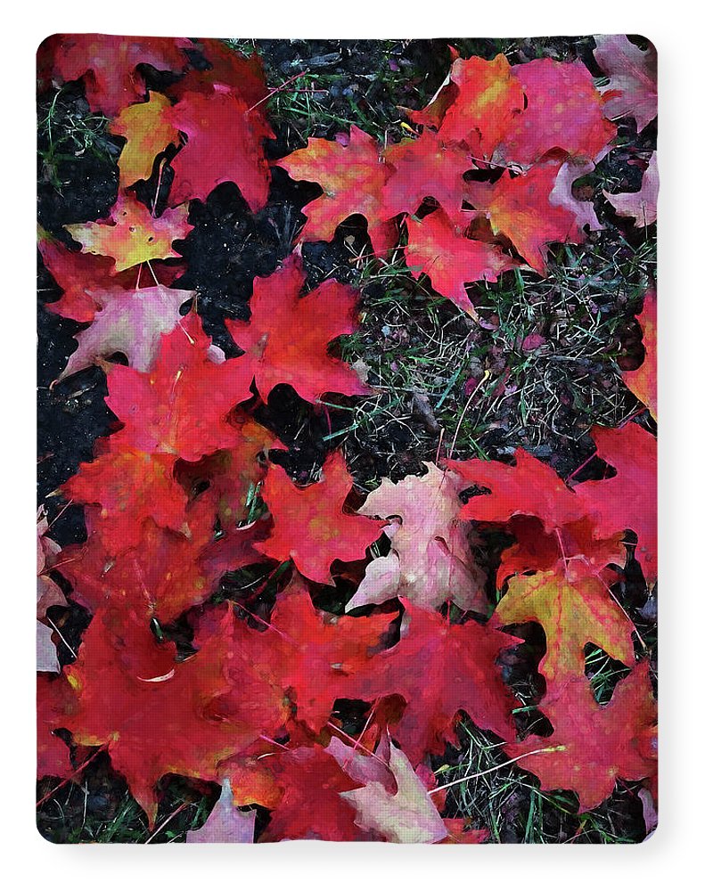 Maple Leaves In October 5 - Blanket