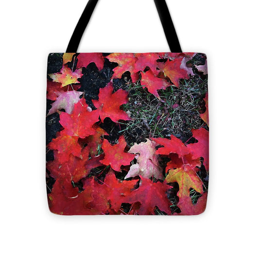 Maple Leaves In October 5 - Tote Bag