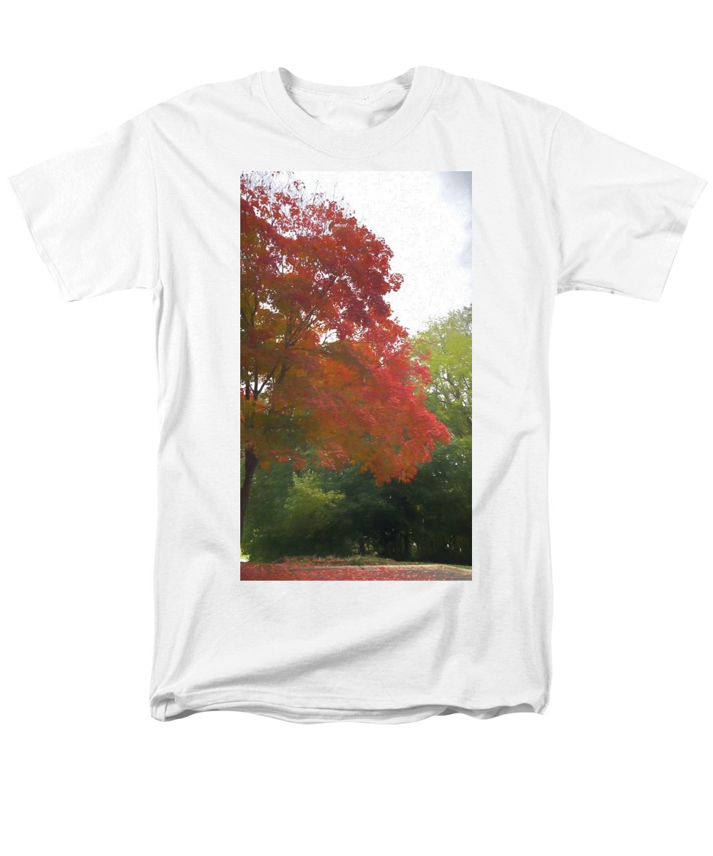 Maple Tree In October - Men's T-Shirt (Regular Fit)