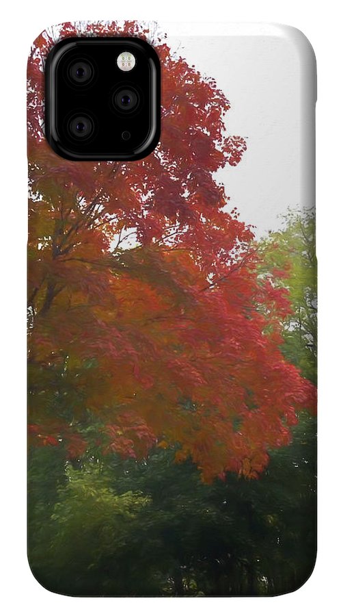 Maple Tree In October - Phone Case