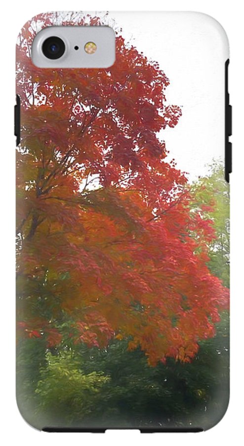 Maple Tree In October - Phone Case