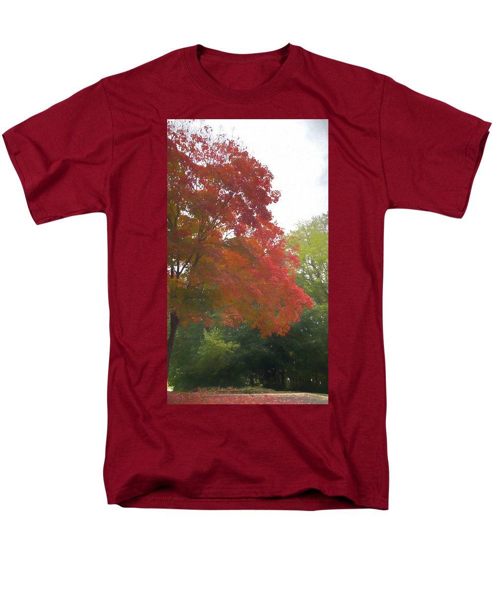 Maple Tree In October - Men's T-Shirt (Regular Fit)