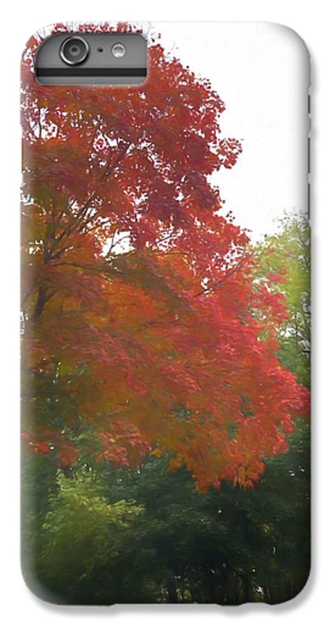 Maple Tree In October - Phone Case