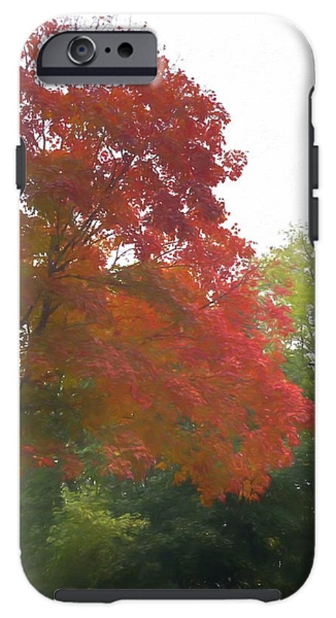 Maple Tree In October - Phone Case