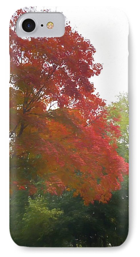 Maple Tree In October - Phone Case