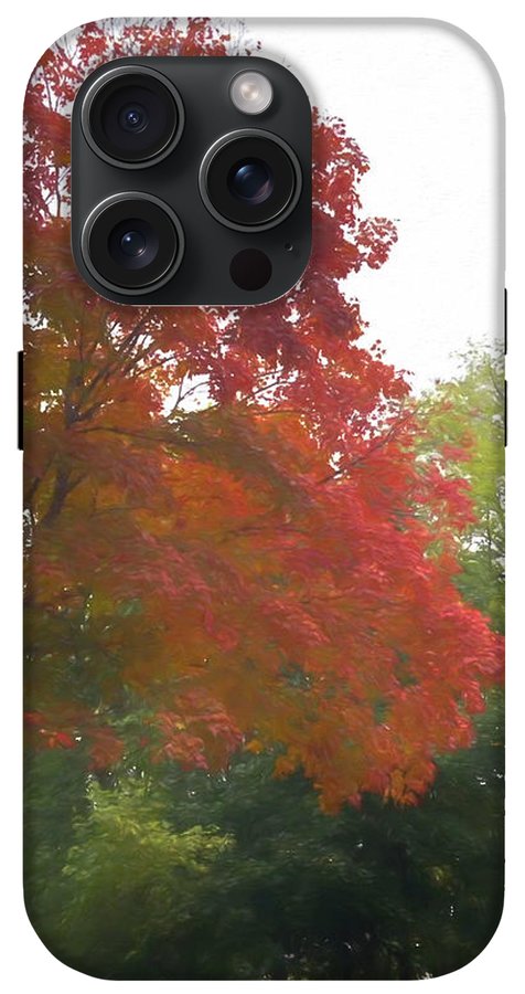 Maple Tree In October - Phone Case