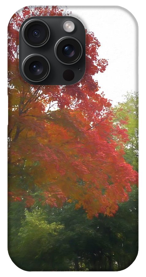 Maple Tree In October - Phone Case