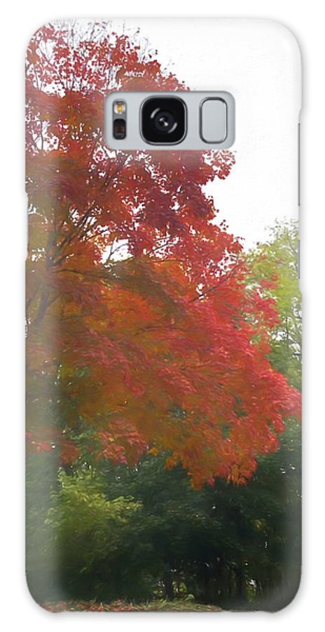 Maple Tree In October - Phone Case