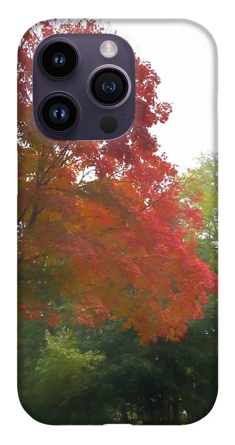 Maple Tree In October - Phone Case