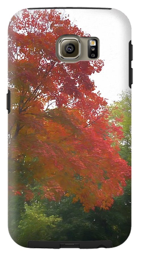 Maple Tree In October - Phone Case