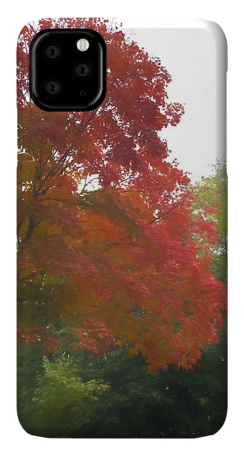 Maple Tree In October - Phone Case