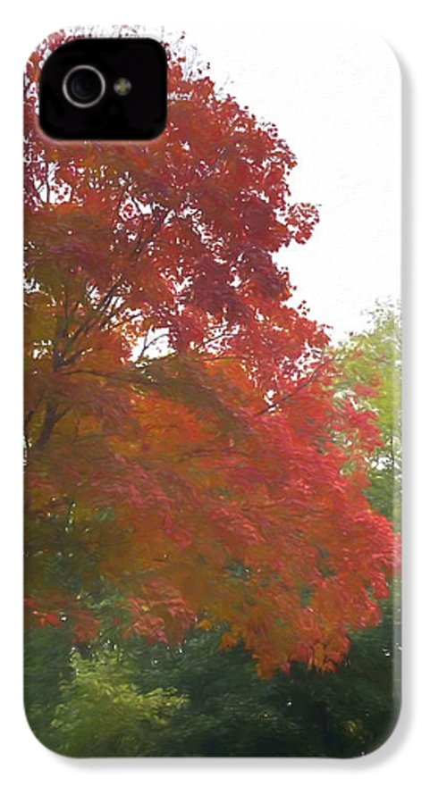 Maple Tree In October - Phone Case