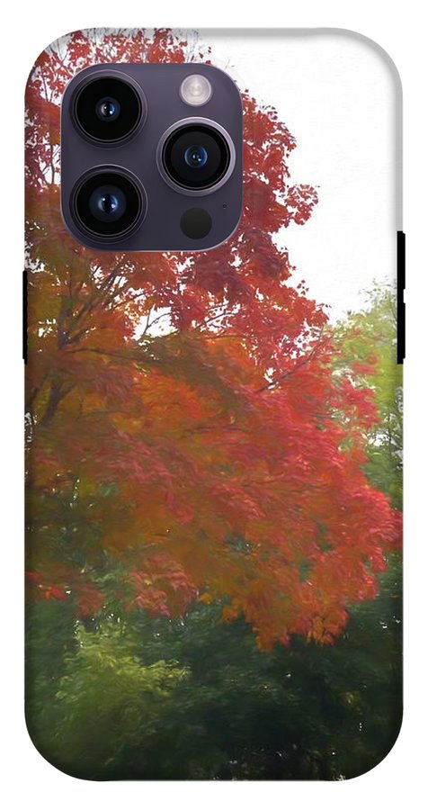Maple Tree In October - Phone Case
