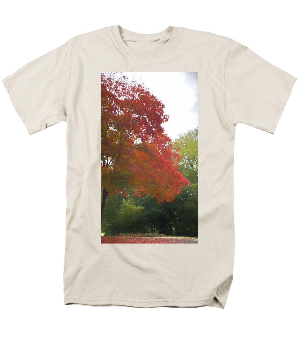 Maple Tree In October - Men's T-Shirt (Regular Fit)
