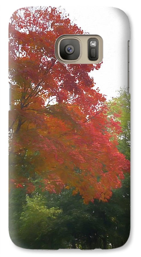 Maple Tree In October - Phone Case