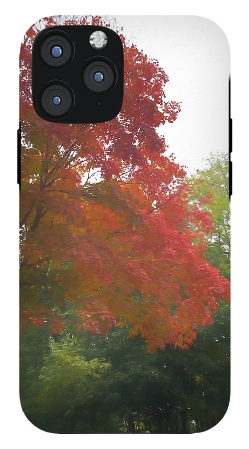 Maple Tree In October - Phone Case
