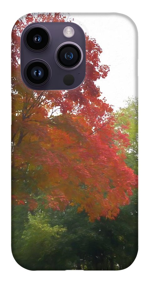 Maple Tree In October - Phone Case