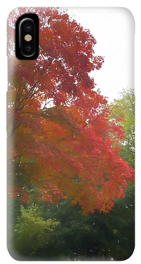Maple Tree In October - Phone Case