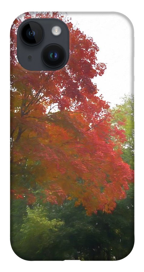 Maple Tree In October - Phone Case