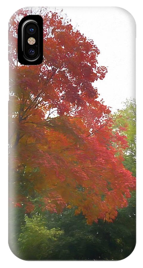 Maple Tree In October - Phone Case
