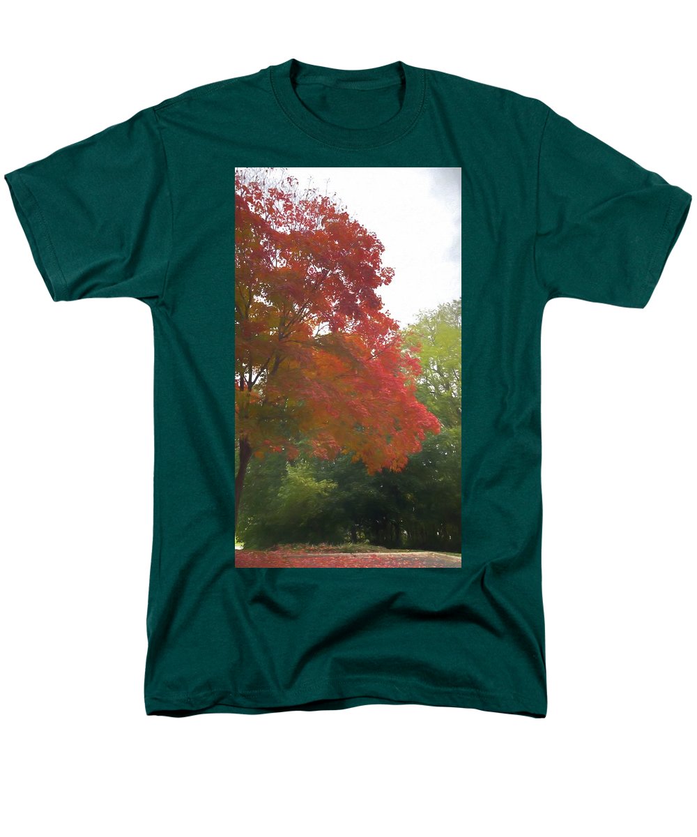 Maple Tree In October - Men's T-Shirt (Regular Fit)