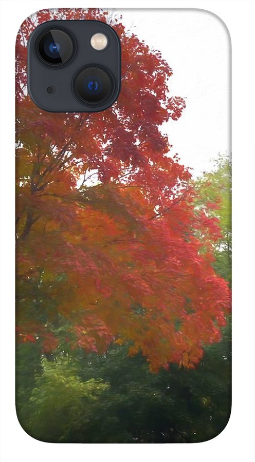 Maple Tree In October - Phone Case