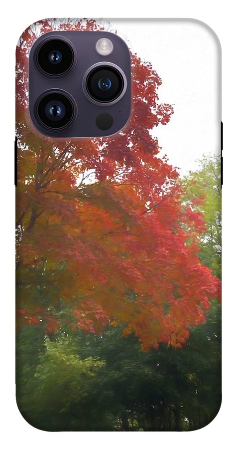 Maple Tree In October - Phone Case