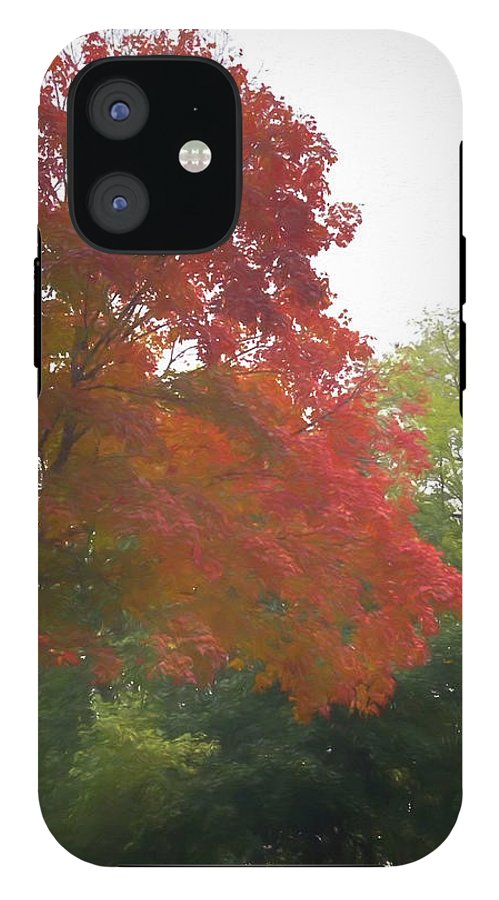 Maple Tree In October - Phone Case