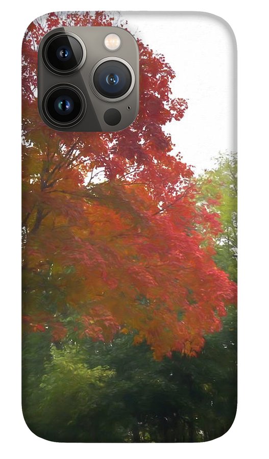 Maple Tree In October - Phone Case