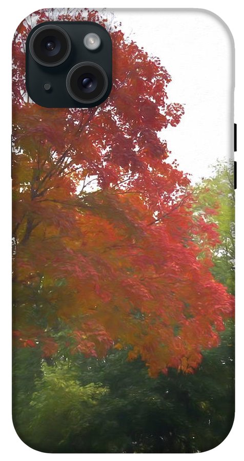 Maple Tree In October - Phone Case