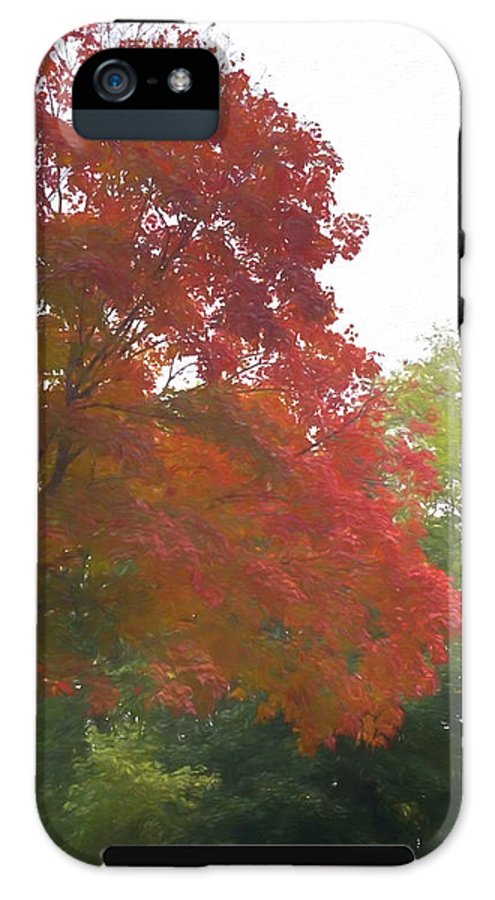 Maple Tree In October - Phone Case
