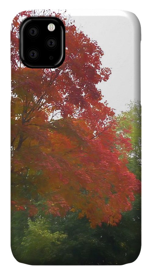 Maple Tree In October - Phone Case