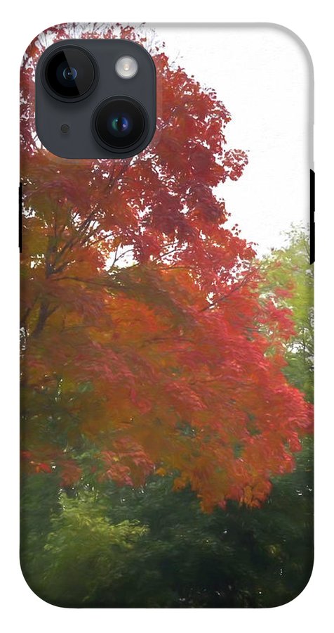Maple Tree In October - Phone Case
