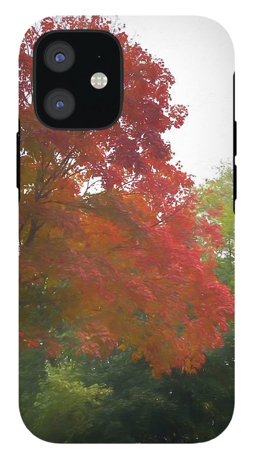 Maple Tree In October - Phone Case