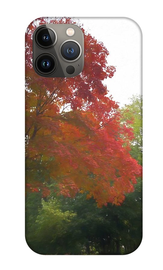 Maple Tree In October - Phone Case