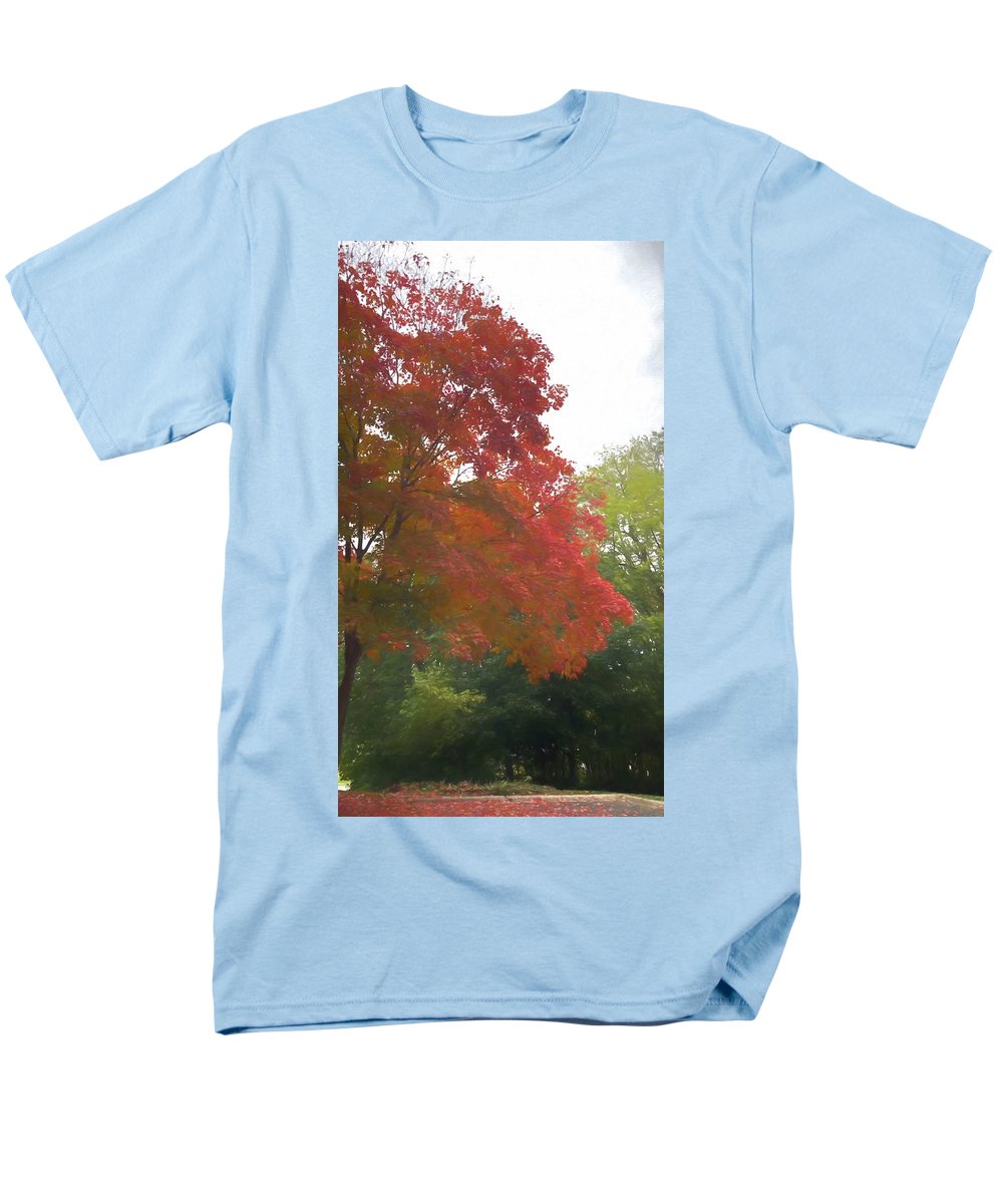 Maple Tree In October - Men's T-Shirt (Regular Fit)