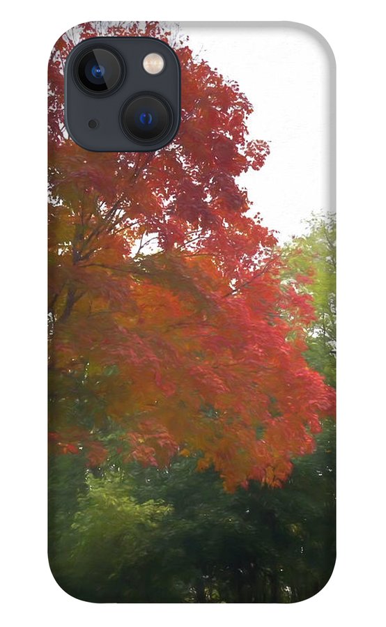 Maple Tree In October - Phone Case