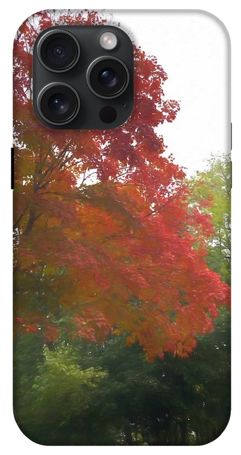 Maple Tree In October - Phone Case