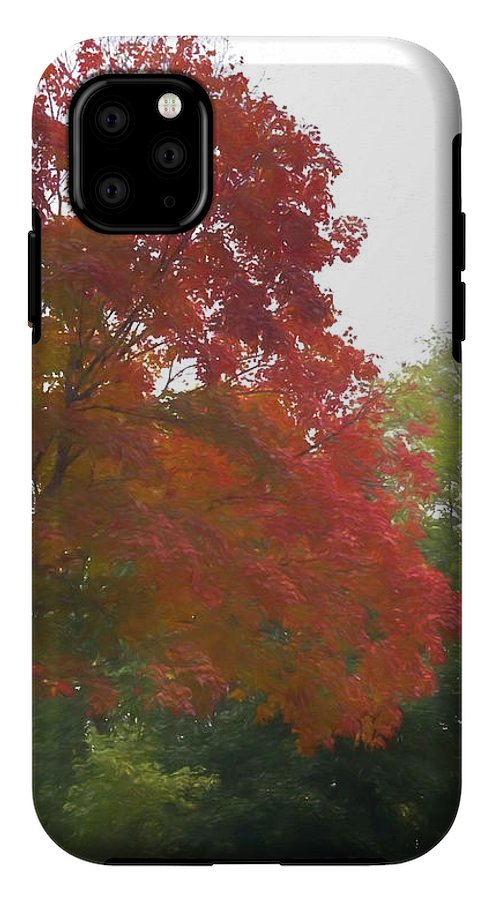 Maple Tree In October - Phone Case
