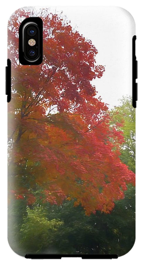 Maple Tree In October - Phone Case