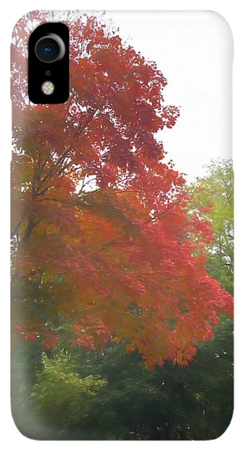 Maple Tree In October - Phone Case