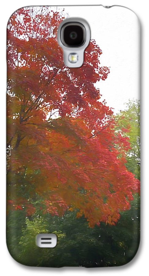 Maple Tree In October - Phone Case
