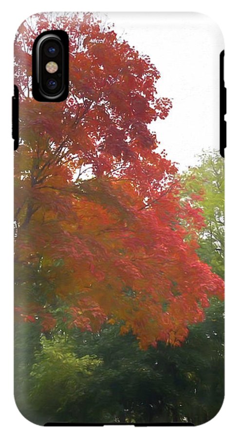 Maple Tree In October - Phone Case
