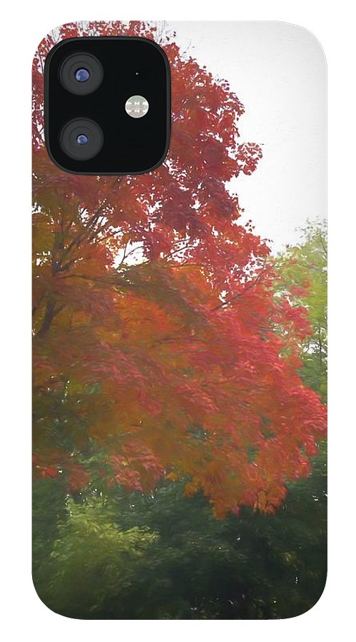Maple Tree In October - Phone Case
