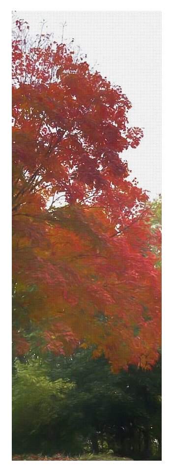Maple Tree In October - Yoga Mat
