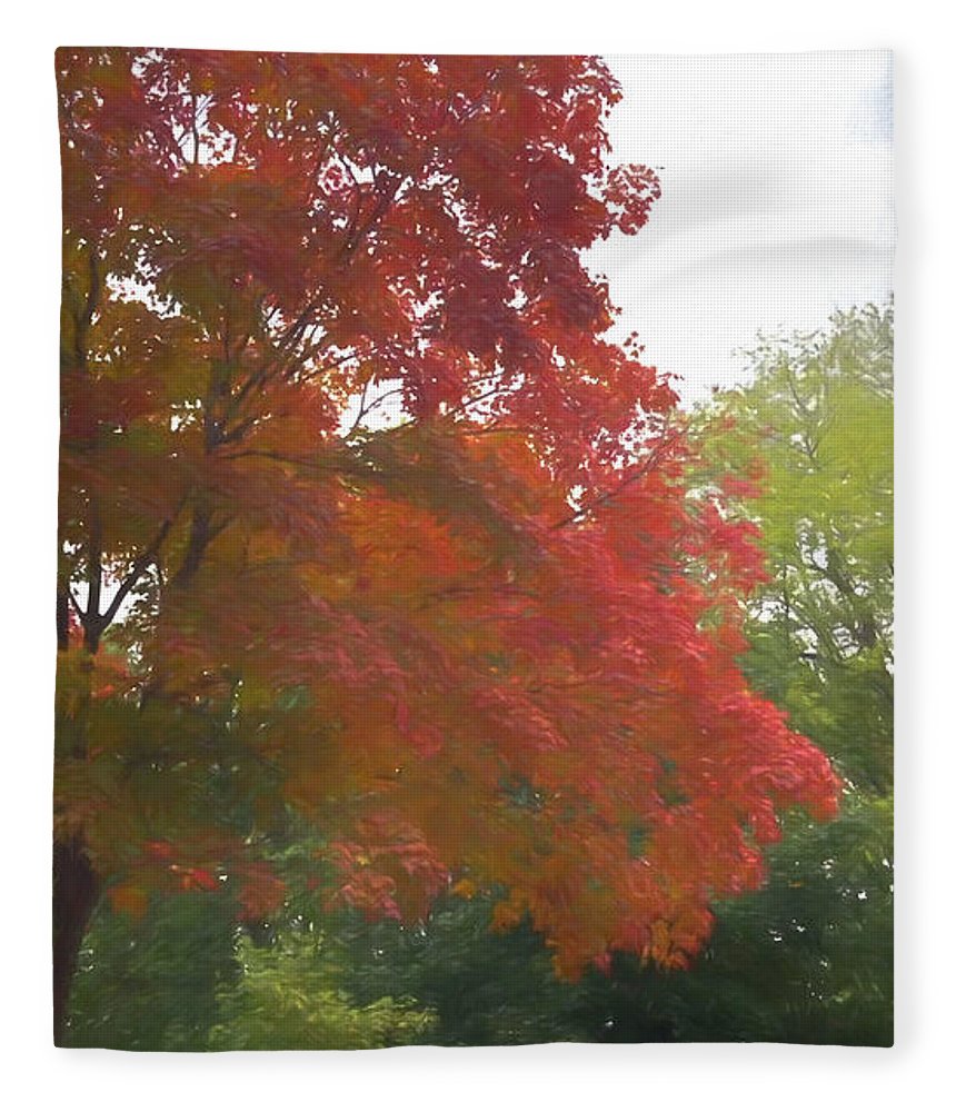 Maple Tree In October - Blanket