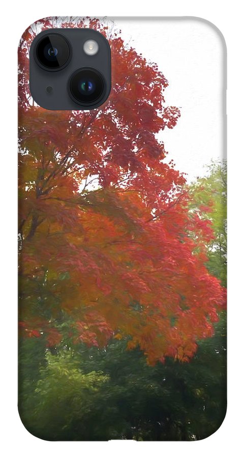 Maple Tree In October - Phone Case