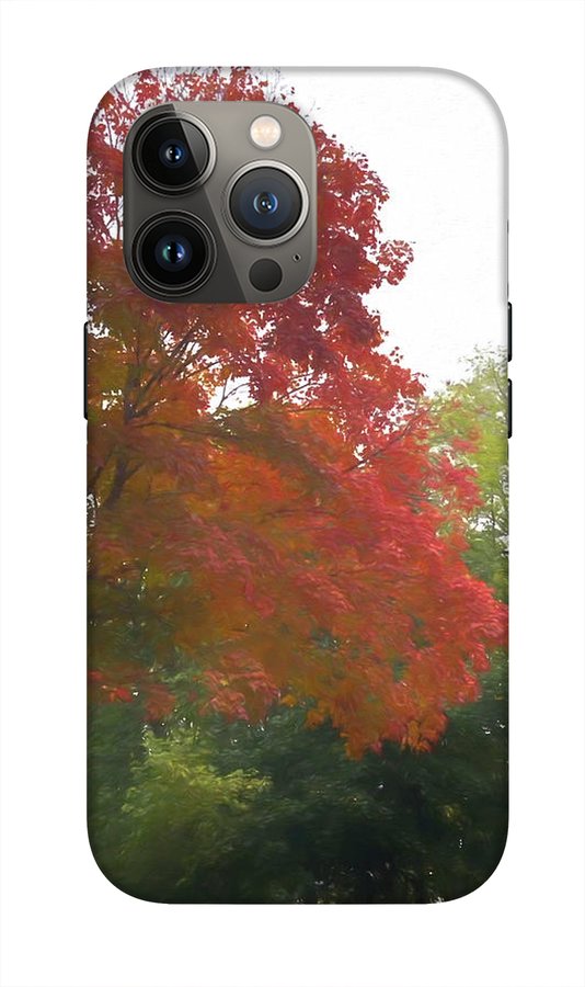 Maple Tree In October - Phone Case