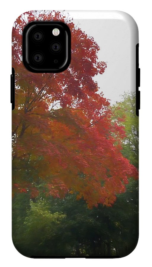 Maple Tree In October - Phone Case