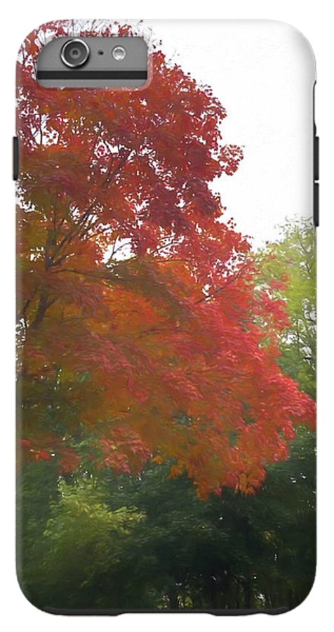 Maple Tree In October - Phone Case